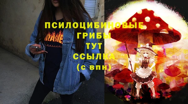 спайс Алзамай