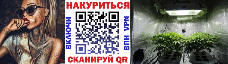 как найти закладки  Нестеров  Шишки марихуана THC 21% 